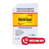 Bột trét ngoại thất shield kote