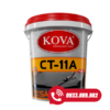 Chất chống thấm cao cấp sàn CT 11A Plus